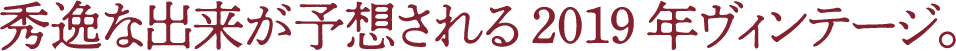 秀逸な出来が予想される2019年ヴィンテージ