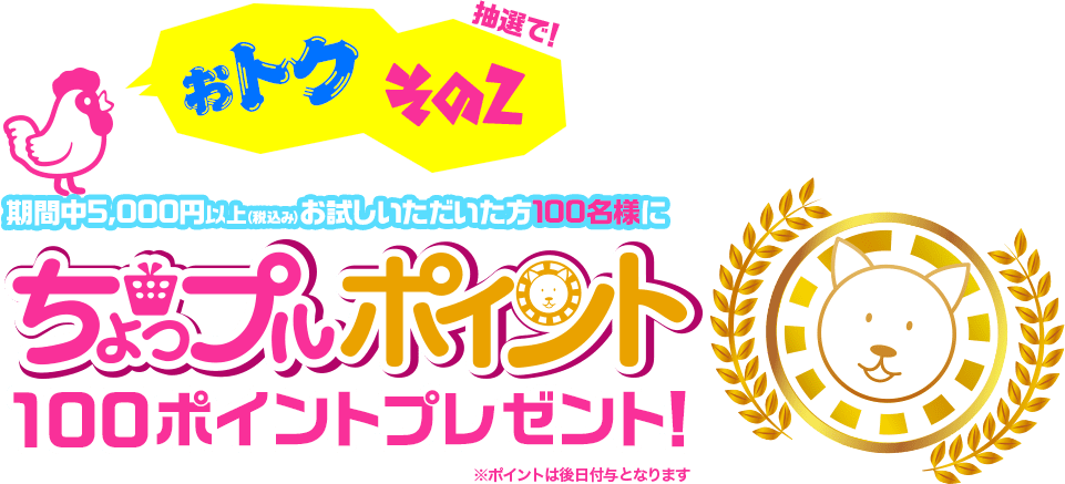 おトクその２|抽選で！