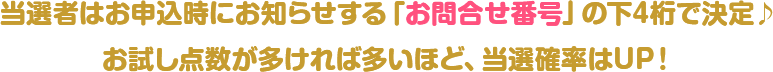 当選者はお申込時にお知らせの「お問い合せ番号」の下4桁で決定♪お試し点数が多ければ多いほど当選確率はUP!