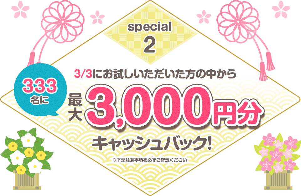 special2 3/3にお試しいただいた方の中から333名に最大3,000円分キャッシュバック！