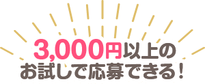 3,000円以上のお試しで応募できる！