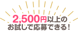 2,500円以上のお試しで応募できる！