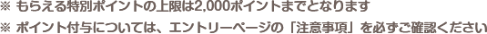 ※もらえる特別ポイントの上限は2.000ポイントまでとなります|※ポイント付与については、エントリーページの「注意事項」を必ずご確認ください