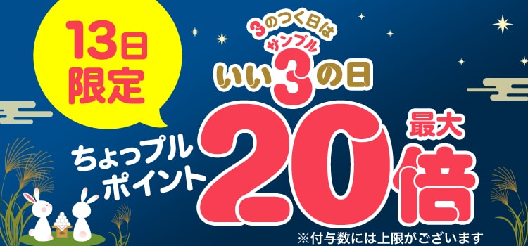 3のつく日はいいサンプルの日♪