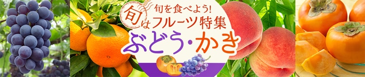 フルーツ特集