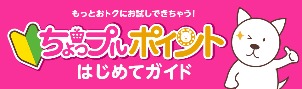 ちょっプルポイントはじめてガイド
