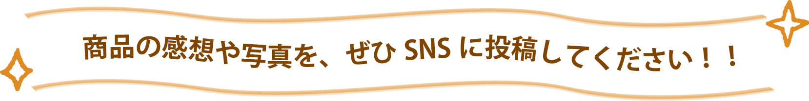 商品の感想や写真を、ぜひSNSに投稿してください!!
