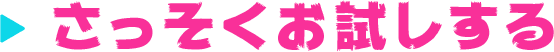 さっそくお試しする