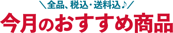 今月のおすすめ商品