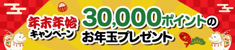 年末年始キャンペーン 30,000ポイントのお年玉プレゼント