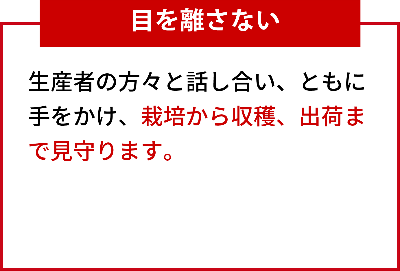 目を離さない 生産者の方々と話し合い、ともに手をかけ、栽培から収穫、出荷まで見守ります。