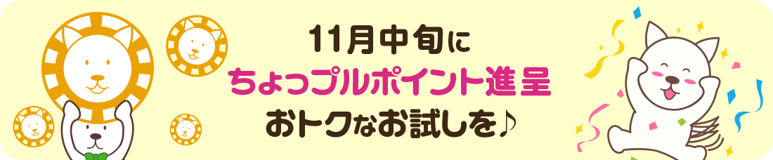 11月中旬にちょっプルポイント進呈|おトクなお試しを♪