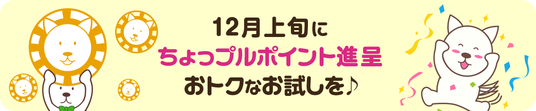 12月中旬にちょっプルポイント進呈|おトクなお試しを♪