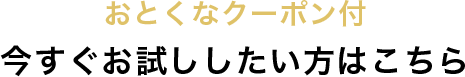 お得なクーポン付き