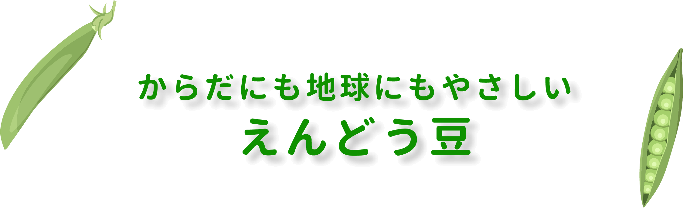 からだにも地球にもやさしいえんどう豆
