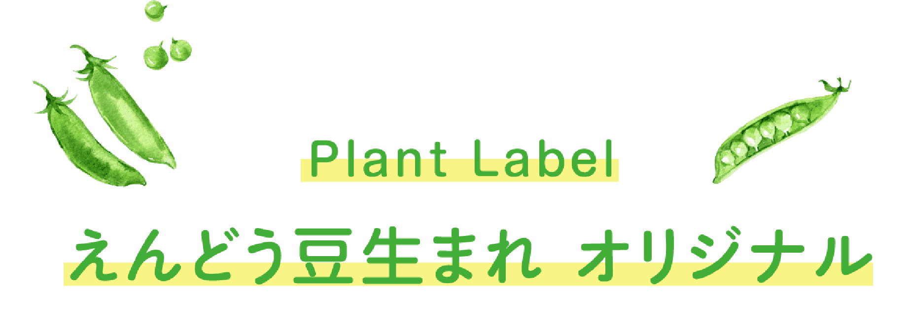 Plant Label えんどう豆生まれオリジナル