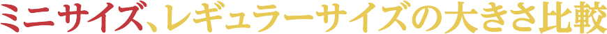 モニター活動ミニサイズ、レギュラーサイズの大きさ比較の流れ
