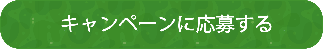 キャンペーンに応募する