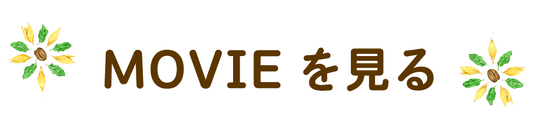 MOVIEを見る