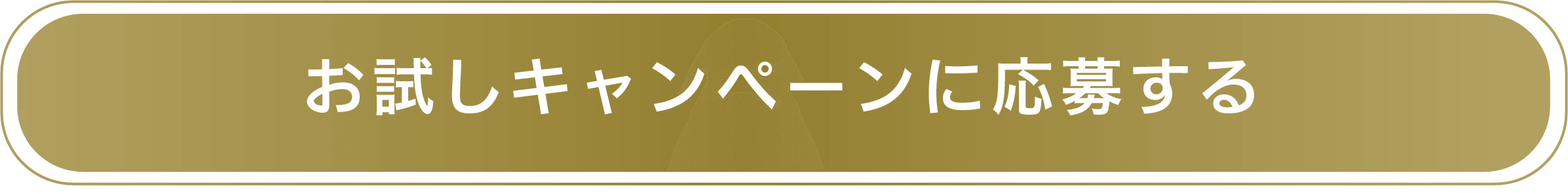 プレゼントキャンペーンに応募する