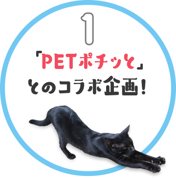 「PETポチッと」とのコラボ企画！