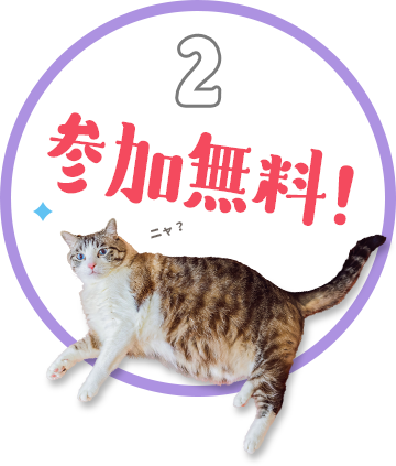 参加無料！