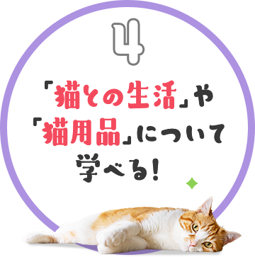「猫との生活」や「猫用品」について学べる！