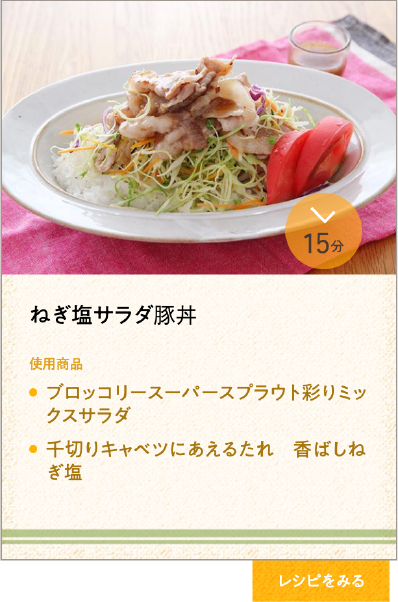 ねぎ塩サラダ豚丼