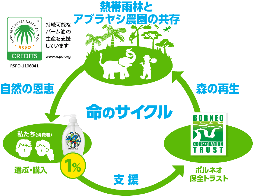命のサイクル　自然の恩恵→支援→森の再生→熱帯雨林とアブラヤシ農園の共存