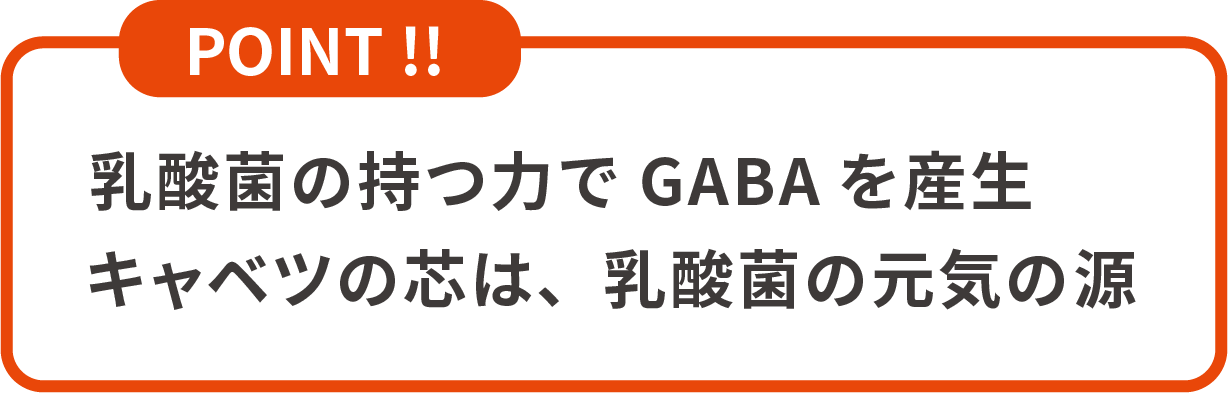POINT!! 乳酸菌の持つ力でGABAを生産キャベツの芯は、乳酸菌の元気の源