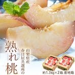 【予約受付】6/13~順次出...