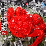 【要冷蔵：生鮮】【400g前...