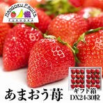 【予約受付】11月下旬~順次...