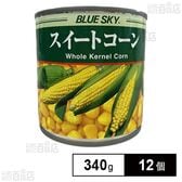 BLUE SKY ホールコーン バキューム 無糖 340g
