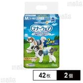マナーウェア 男の子用 Mサイズ 青チェック・紺チェック 42枚