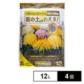 花ごころ 菊の土お見事! 12L