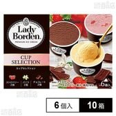 [冷凍]ロッテ レディーボーデン マルチカップセレクション 450ml(6個入)×10箱