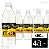 ウィルキンソン タンサン ザ フルーティー PET 490ml