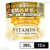 VI オールインワンゲル 280g