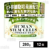 STオールインワンゲル 280g