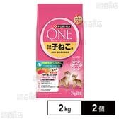 ピュリナワンキャット 1歳までの子ねこ用/妊娠・授乳期の母猫用 サーモン＆ツナ 2kg