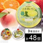 セット1316：ゼリー3種セット