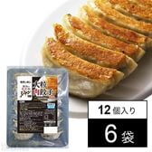 ジャン 焼肉の生だれ 配合 大粒肉餃子 336g(12個入)