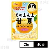 そのまんま甘夏 25g