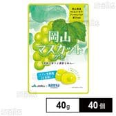 岡山マスカットグミ ラブレ乳酸菌入 40g