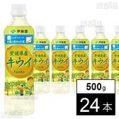 ニッポンエール 愛媛県産キウイ PET 500g