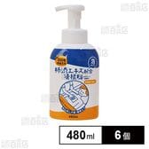 100年快適生活 柿渋エキス配合清拭料泡タイプ 480ml