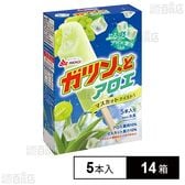 ガツンとアロエ 58ml×5本入