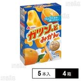 [冷凍]赤城乳業 ガツン、とみかん (58ml×5本)×4箱