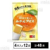 アイス シャーベット 凍らせて食べる みかんアイス 4本入